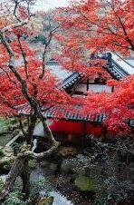 国产91精品一区二区果冻传媒-国产91精品一区二区果冻传媒的多元化发展与创新探索