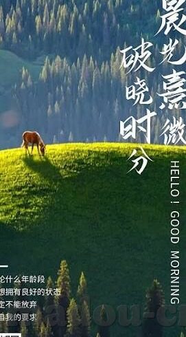 糖心视频app官网入口ios-解开谜团，探寻糖心视频app官网入口iOS版