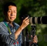 糖心vlog 在线观看-糖心Vlog，解锁在线观看新体验，触摸生活精彩瞬间